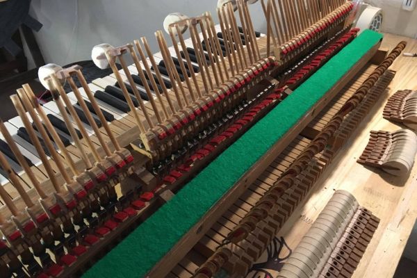 Restoration of piano hammers